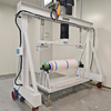1500KG Gantry Crane for Roll Film Lifting