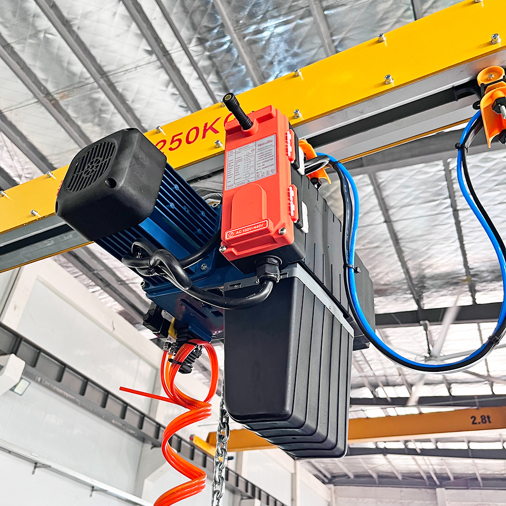 electric hoist